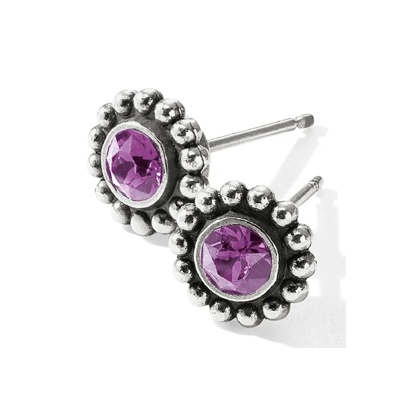 Rose Gold Earrings-Amethyst Twinkle Mini Post Earrings-February